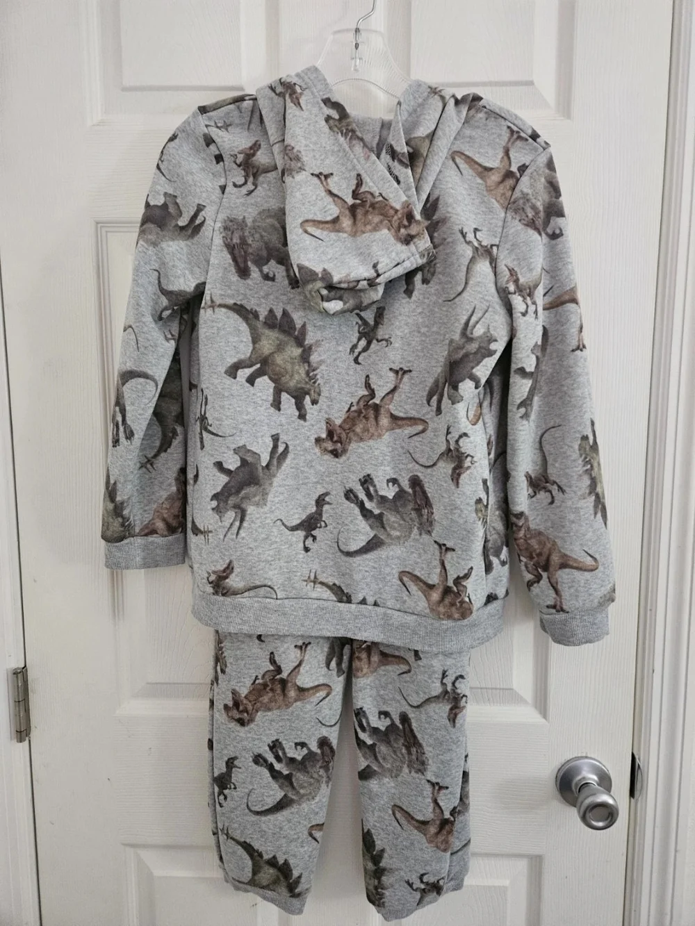 Jurassic-themed Kids Gray Dinosaur Zip Hoodie & Pants  Set